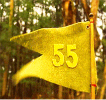 wes anderson flag GIF