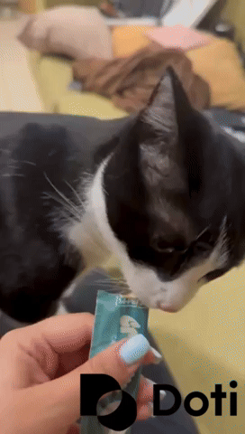 Happy Excited GIF by Doti.AI