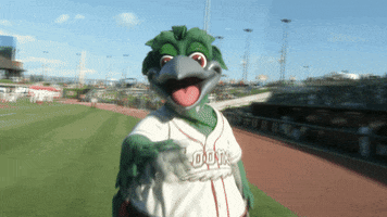 greatlakesloons fun celebration mascot minor league baseball GIF