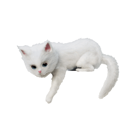 KittenSoftIreland Sticker