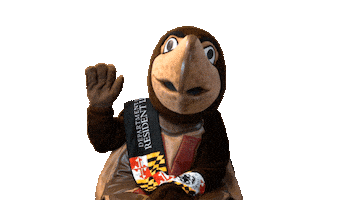 Waving Green Screen Sticker by umdreslife