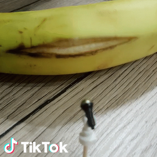 Banana Dente GIF by TikTok Italia