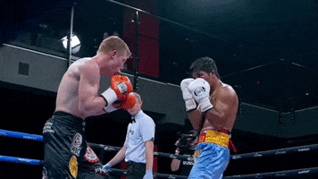 Punch Knockout GIF by RCC Sport