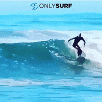 Indonesia Skate GIF by Only Surf