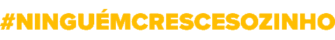 redeabrigo Sticker