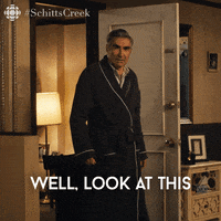 Look At This Schitts Creek GIF by CBC