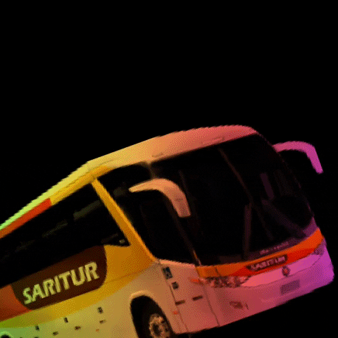 Transnorte e saritur GIF