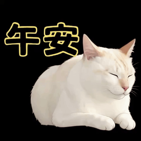 Cat GIF