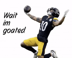 Pittsburgh Steelers GIF