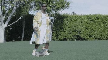 pharrellarot  GIF