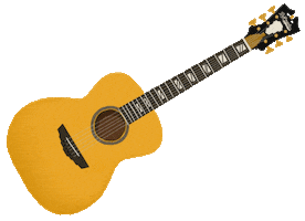 Rock On Summer Sticker by DANGELICOGUITARS