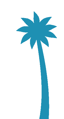 Paradise Coast Sticker