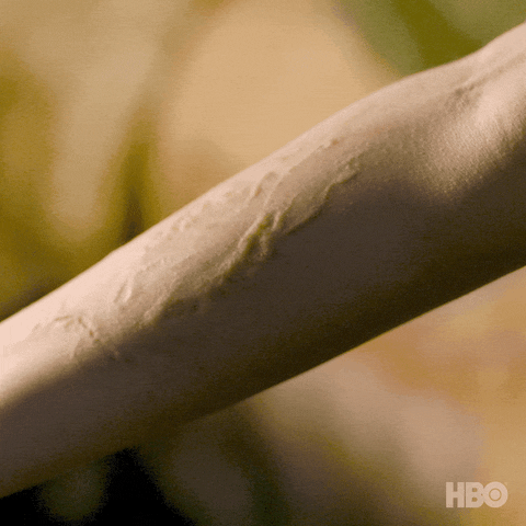 The Last Of Us Bite GIF by HBO