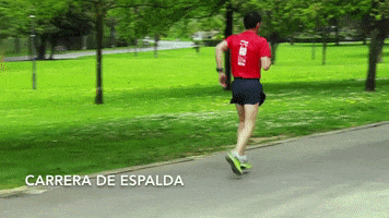 raquelrodriguez  GIF