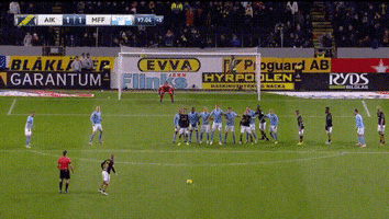 Vamos Sebastian Larsson GIF by AIK