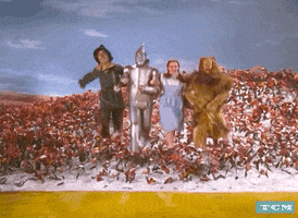 Wizard Of Oz Dorothy GIF by Turner Classic Movies