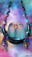 bliss budgie GIF