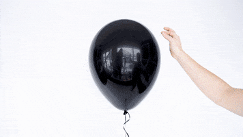 200.gif?cid=fc005b08c0da0afbb7d461e8f29b657b823dfec8c3e179b0&rid=200.gif&ct=g