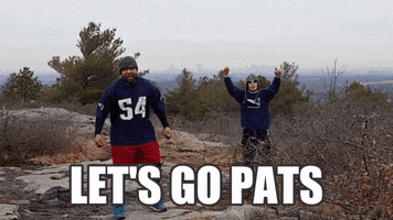 patriots superbowl GIF by Bose