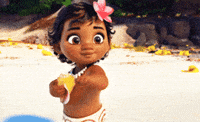 Moana Chicken Gifs Get The Best Gif On Giphy