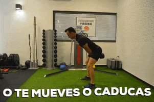 Carlos Casado Coach GIF