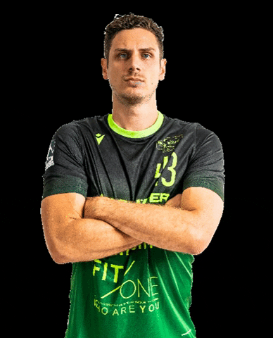 rimparerhandballer GIF