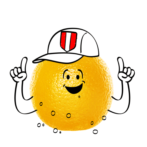 Peru Nada Sticker by Del Valle&Nada Chile