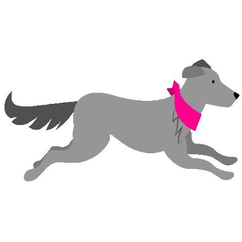 Eukanuba Russia Sticker