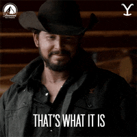 You Got It Smile GIF by Yellowstone