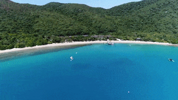 ExperienceCo excited lets go island tropical GIF