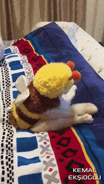 bee