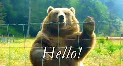 Hello bear waving!