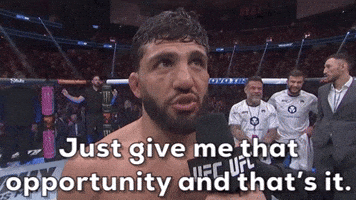 Thats It Mixed Martial Arts GIF by UFC