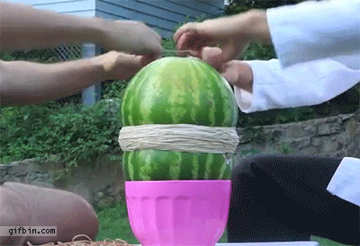 giphy.gif