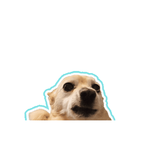 Psitwór Sticker