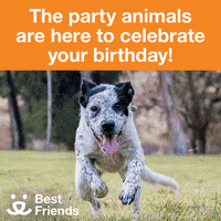 Happy-birthday-friend GIFs - Get the best GIF on GIPHY