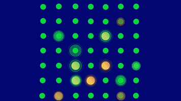 1764Y20372Hdn29030Fn2Kd027Rfn GIF