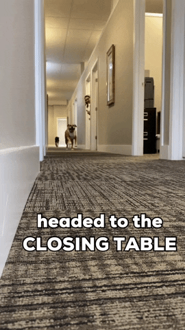ProLandTitle GIF