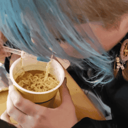 204e FOS De tortels GIF