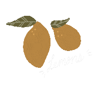 Lemons Sticker