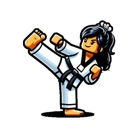 Kick Lego Sticker by Taekwondo Camaleones