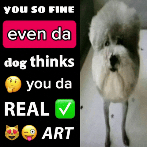 Art Dog GIF
