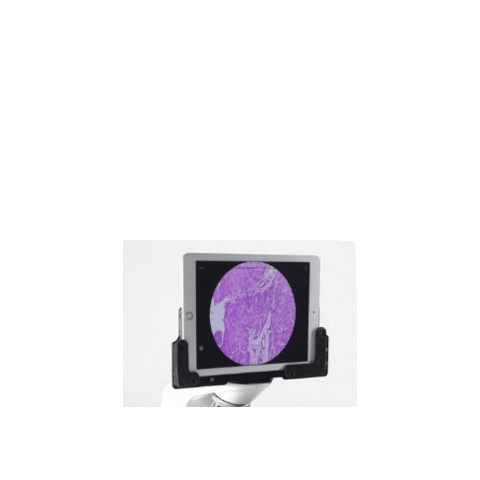 medprime Sticker