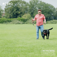 Bake Off Dog GIF by The Great British Bake Off