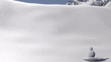 GIF by The QI Elves