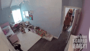 Scared Youtube GIF by Internet Famous