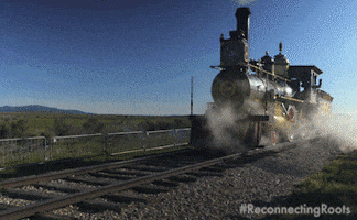 Choo Choo Train GIF by Reconnecting Roots