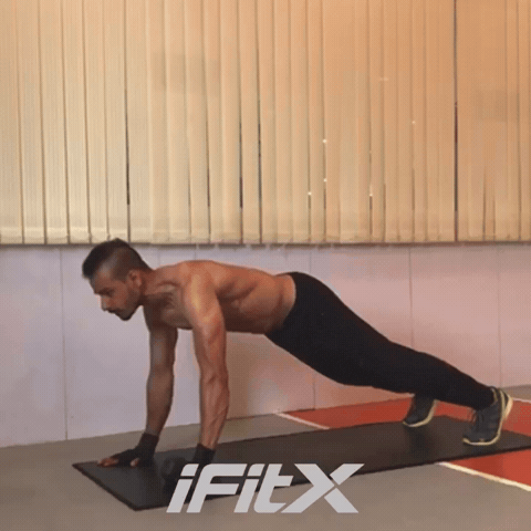 Bird Dog Fitness GIF by iFitX