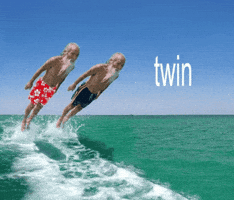 Twin GIF