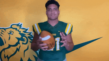 GIF by MOSO Sports